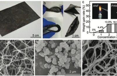 Progress in research on flame-retardant aramid nanofiber aerogel-eutectic phase change solvent host-guest composite film