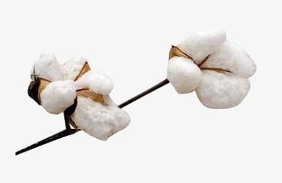 What kind of fabric is combed cotton?  What are the advantages and disadvantages of combed cotton?